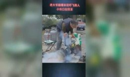 鹤轩身世爆料视频,一段传奇的诞生